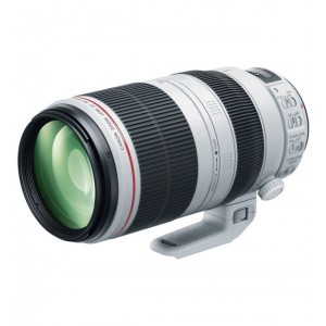 Canon Lens EF 100-400mm f/4.5-5.6 L IS II USM